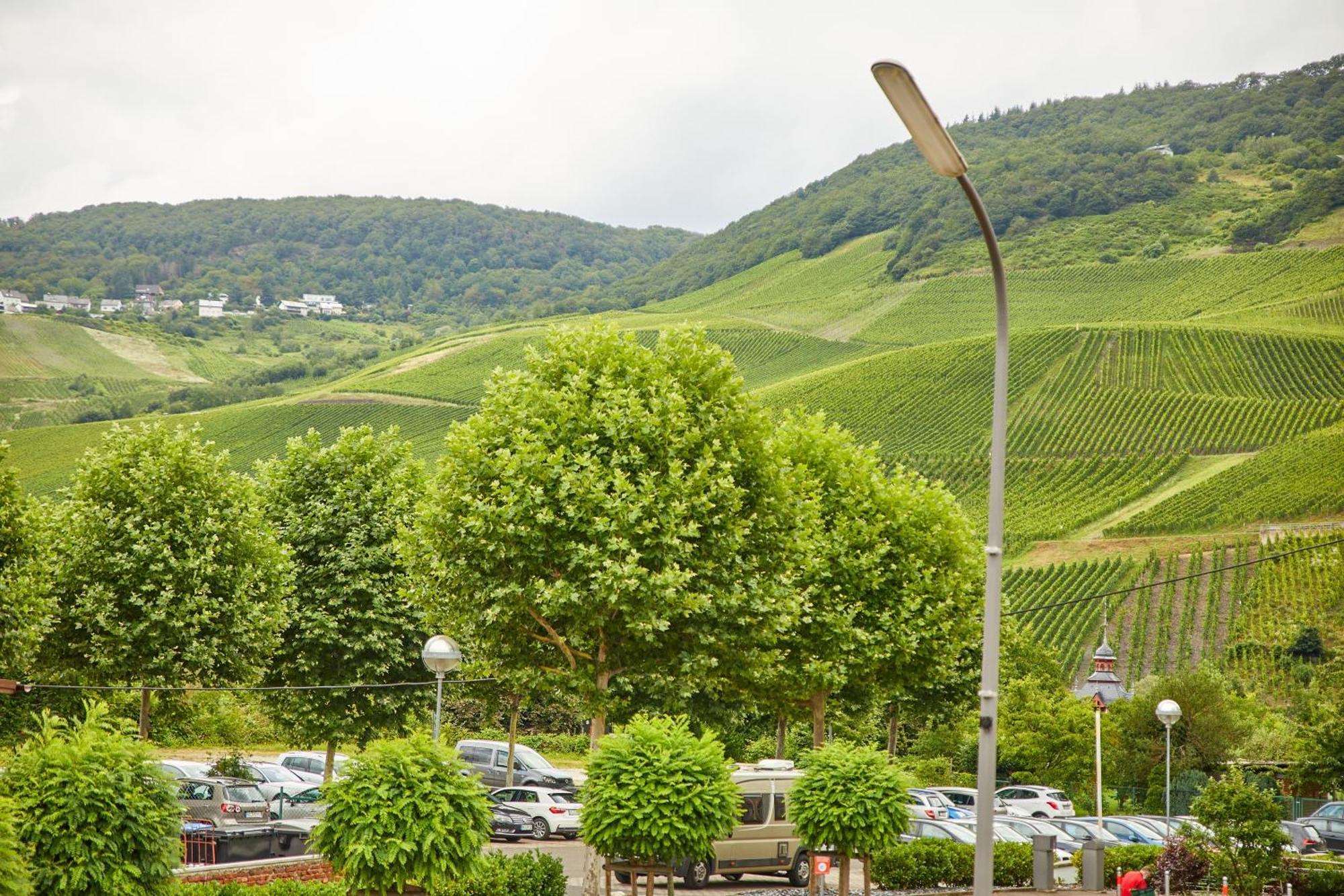 Baron Appartement Verbandsgemeinde Verbandsgemeinde Bernkastel-Kues Buitenkant foto